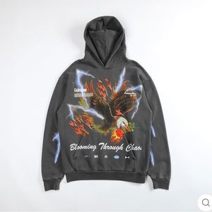 Civil Regime Bloom from Above (S.I.N.)